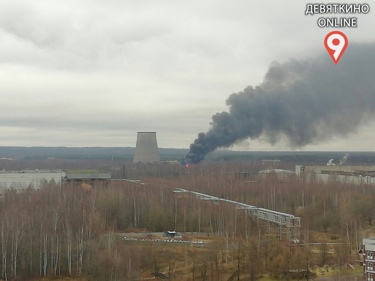 Фото: паблик "Девяткино Online", vk.com
